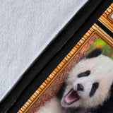 Panda 3D copy