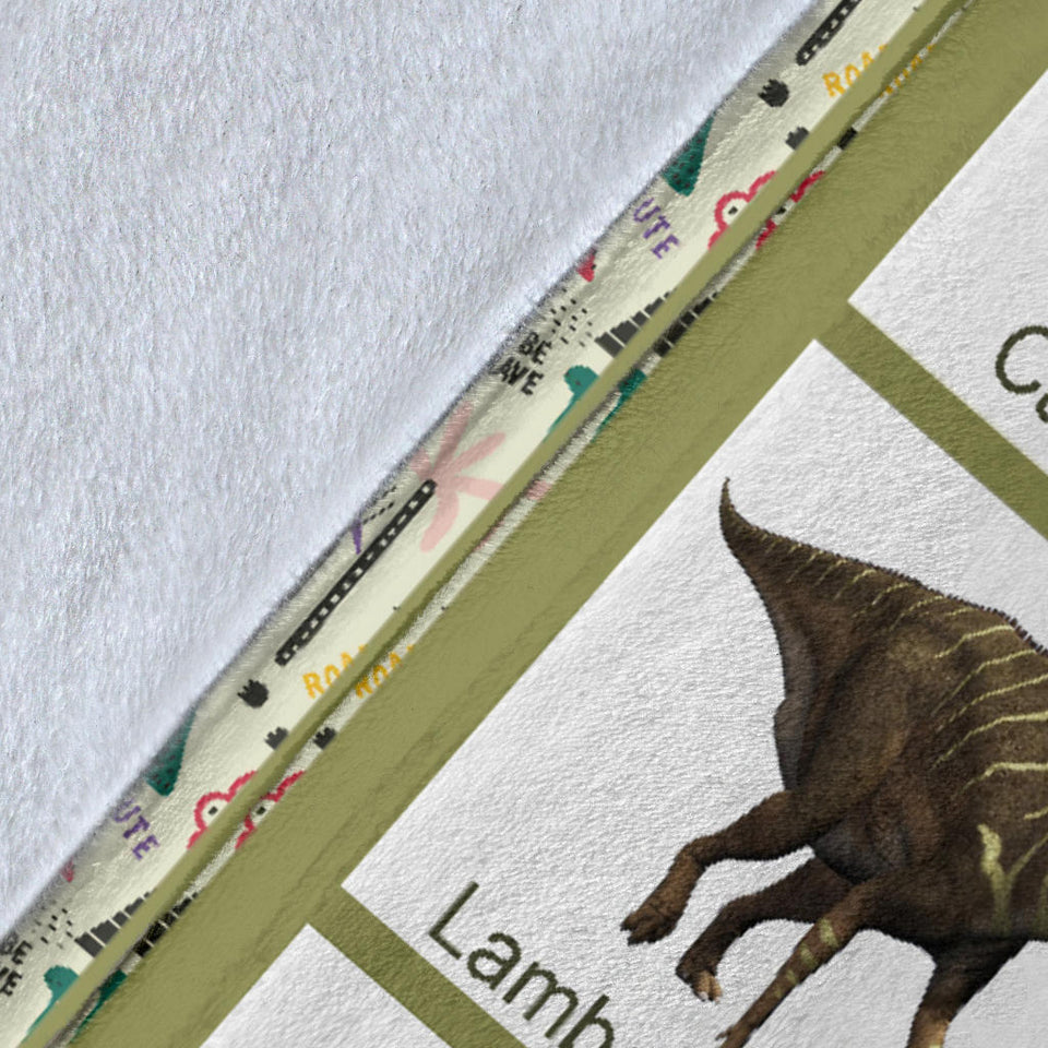 Paleontologist Blanket