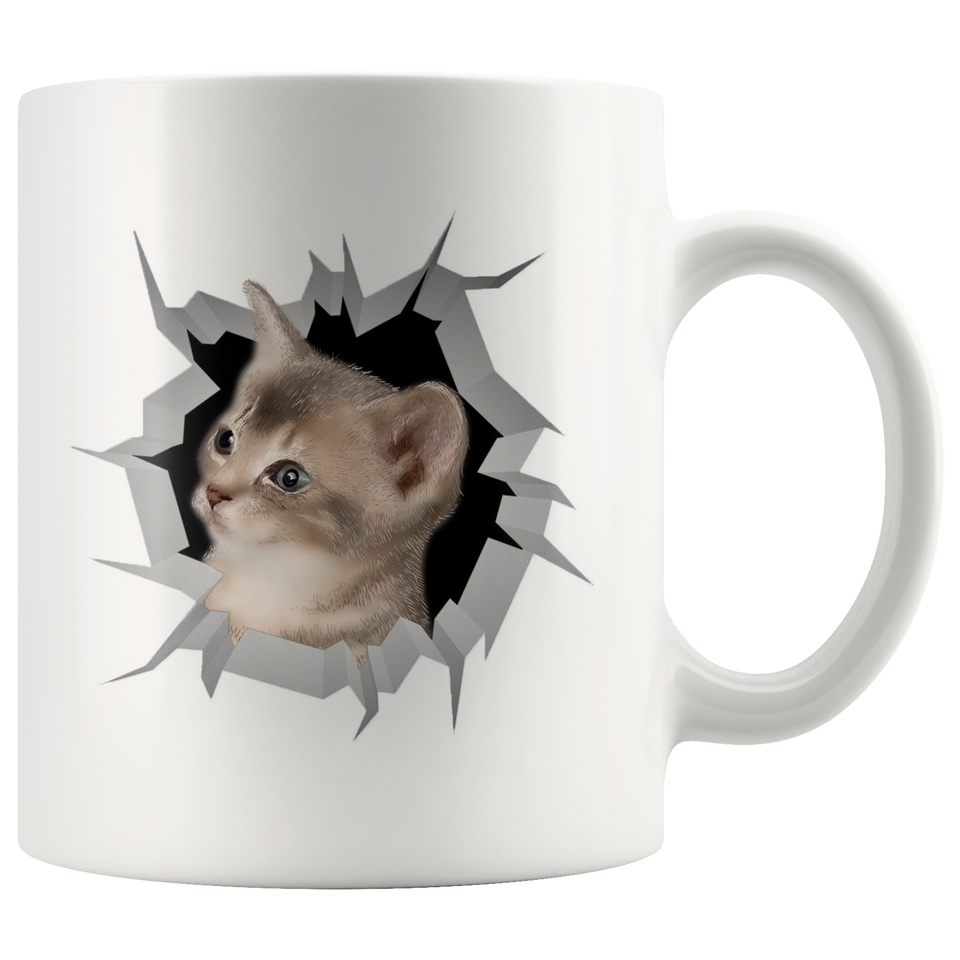 cat 24