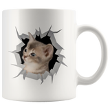cat 24