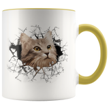cat 108