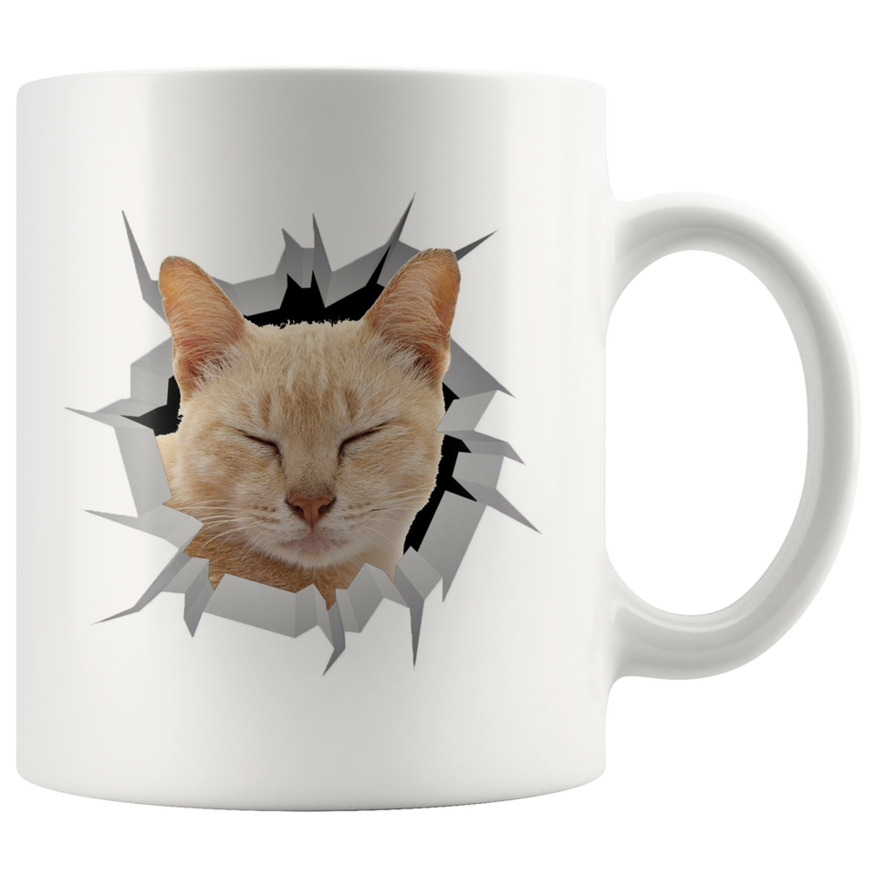 cat cat 18