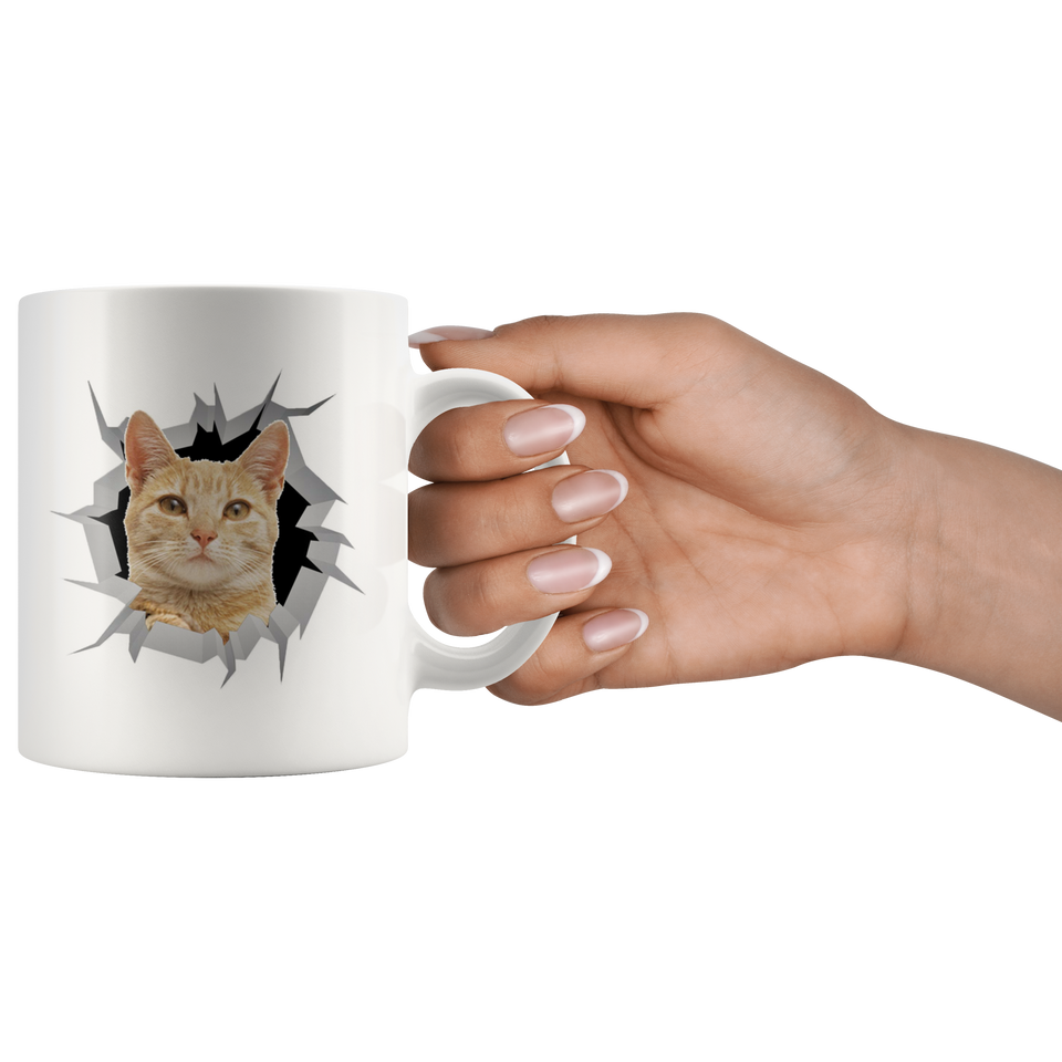 cat 21