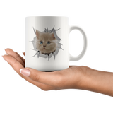 cat 7.1