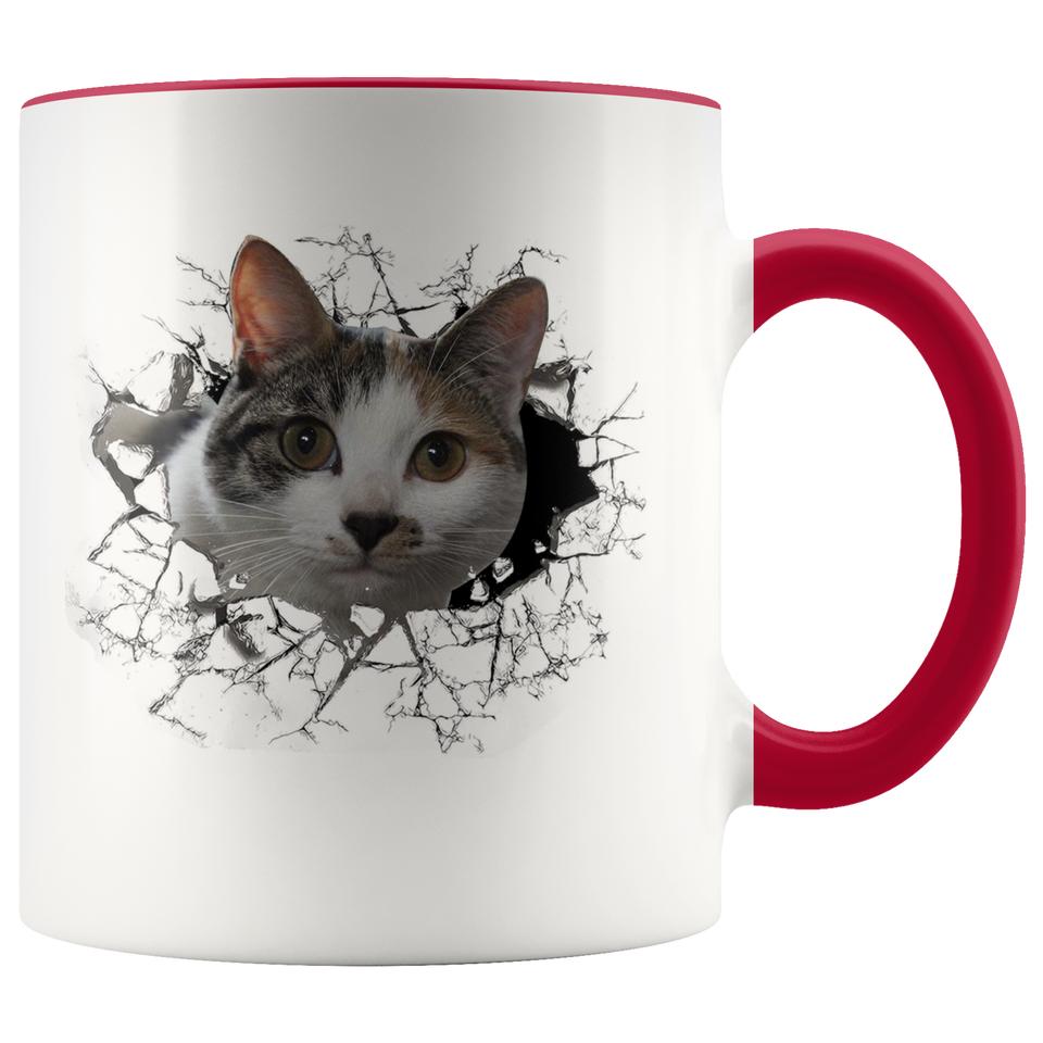 cat 102