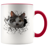 cat 102