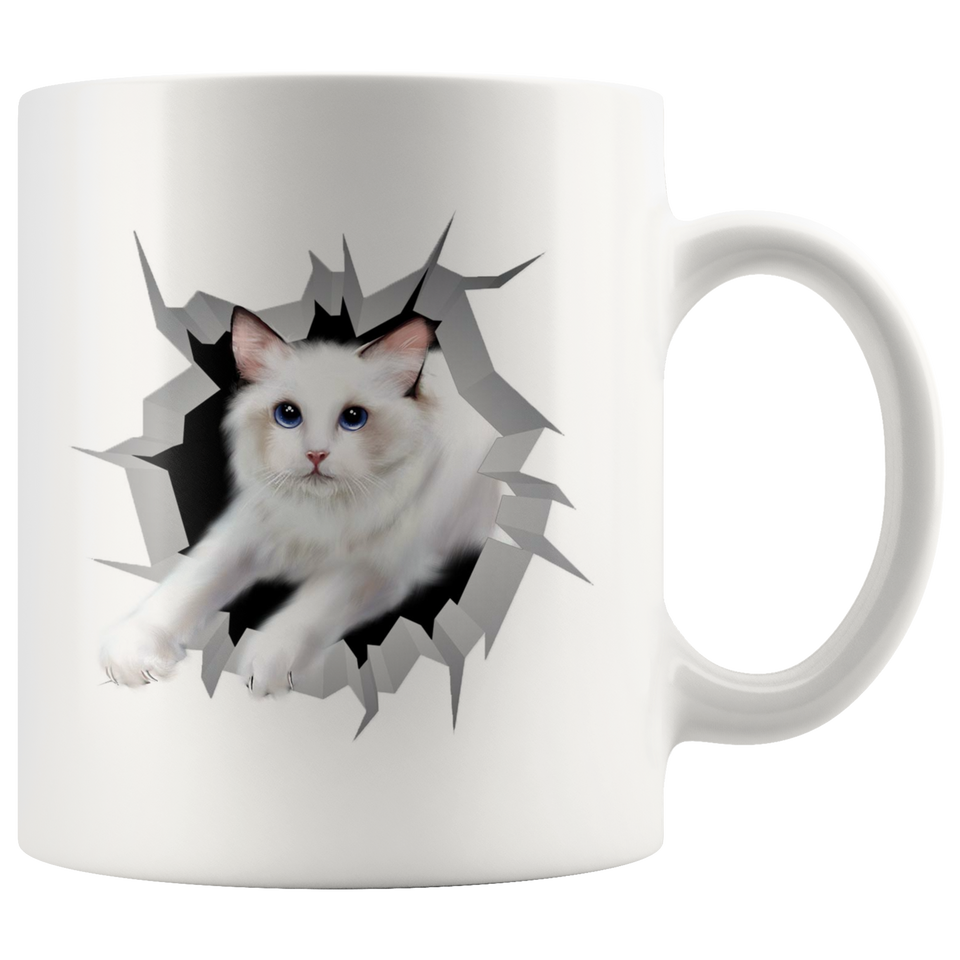 cat 34