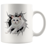 cat 34