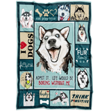 Siberian Husky Dog