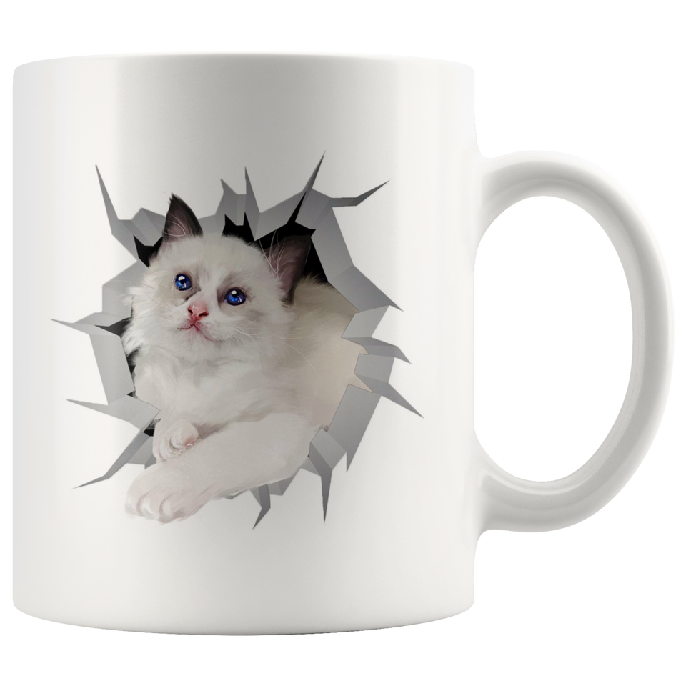 cat 35