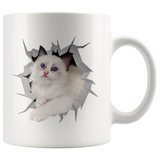 cat 35