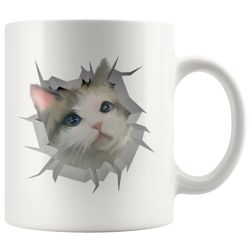 cat 13