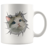 cat 13