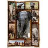 Elephant 3D Blanket
