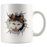 cat 25