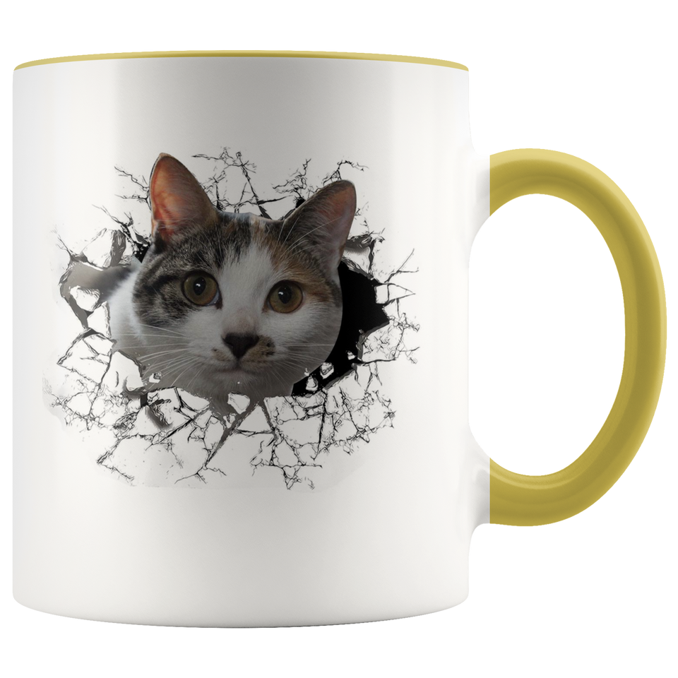 cat 102