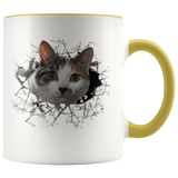 cat 102