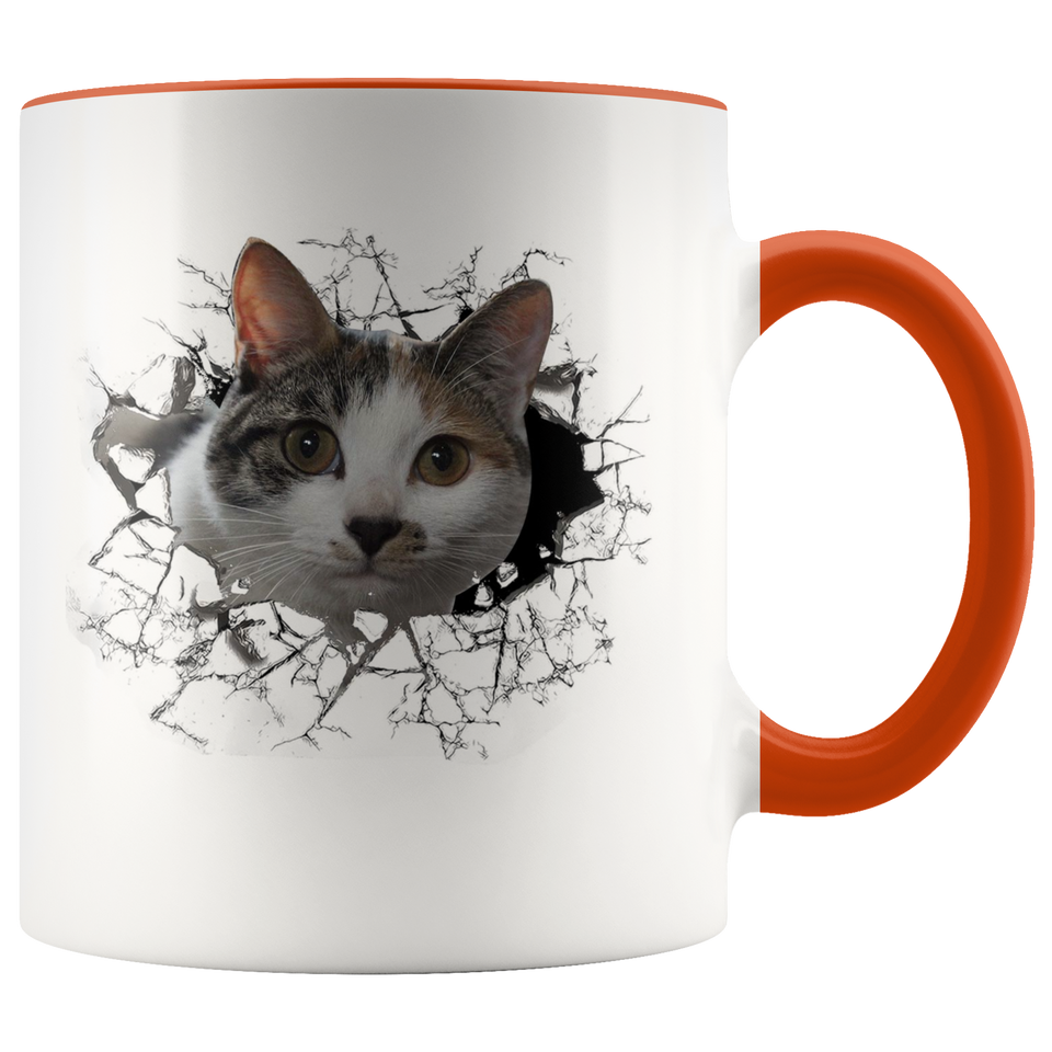 cat 102