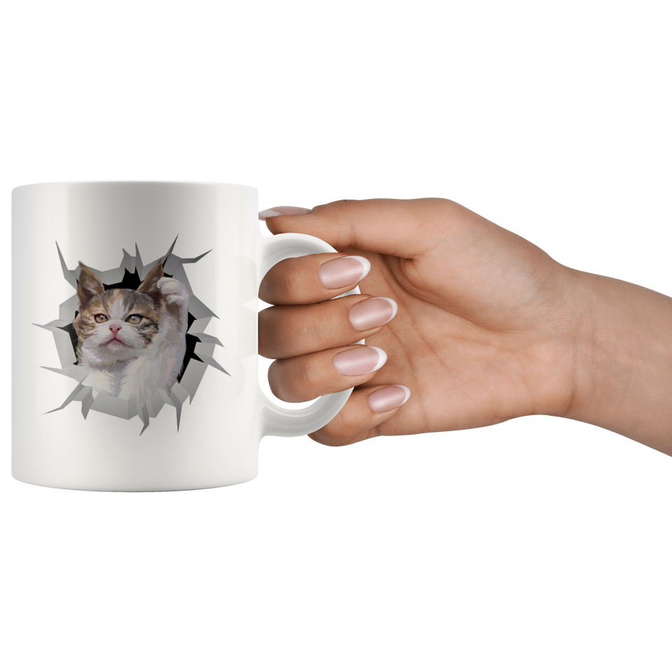 cat 25