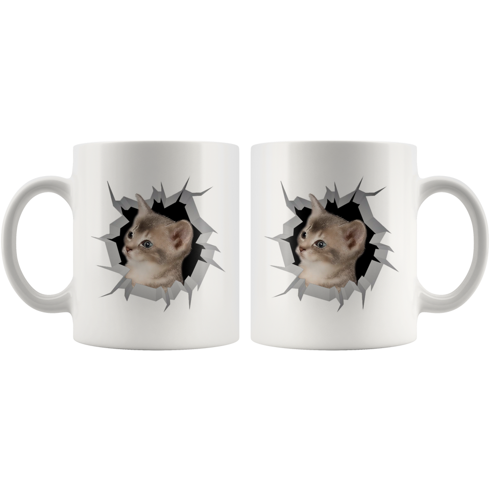 cat 24