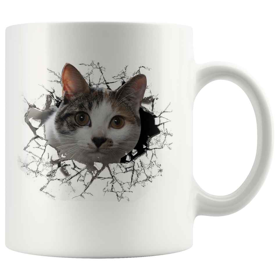 cat 102