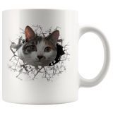 cat 102