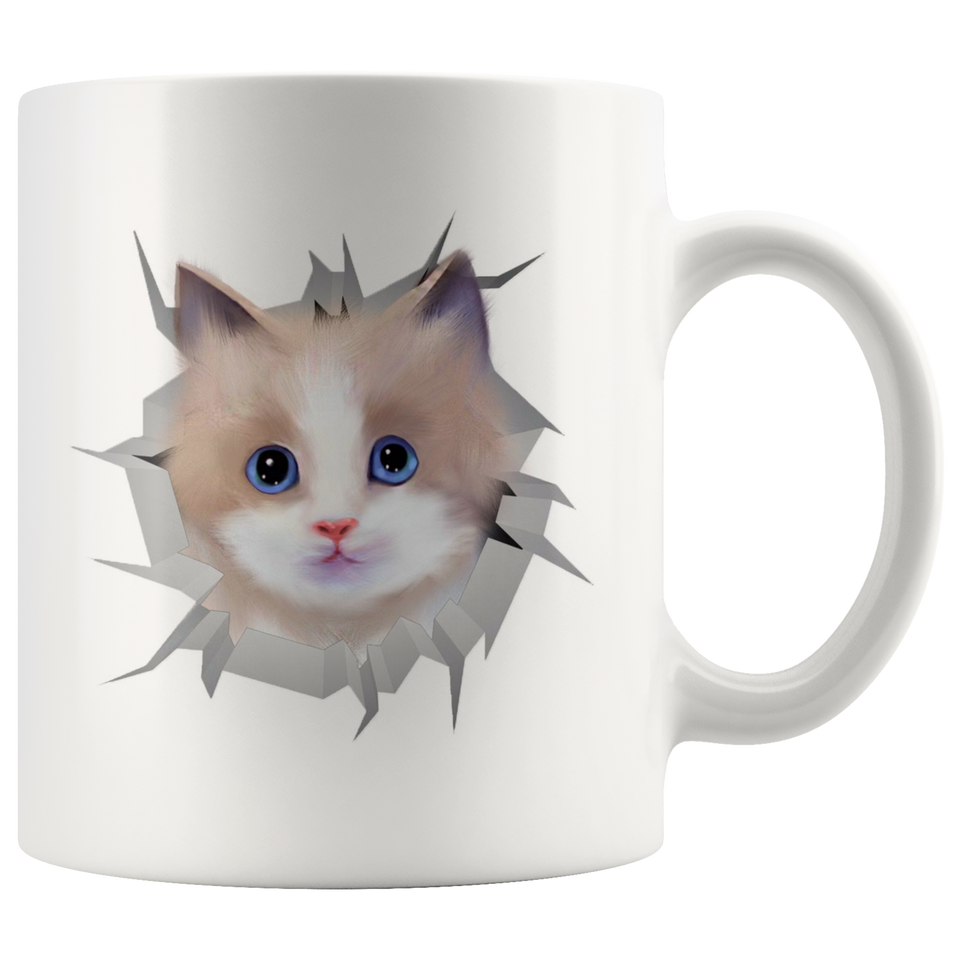 cat 42