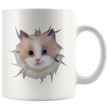 cat 42