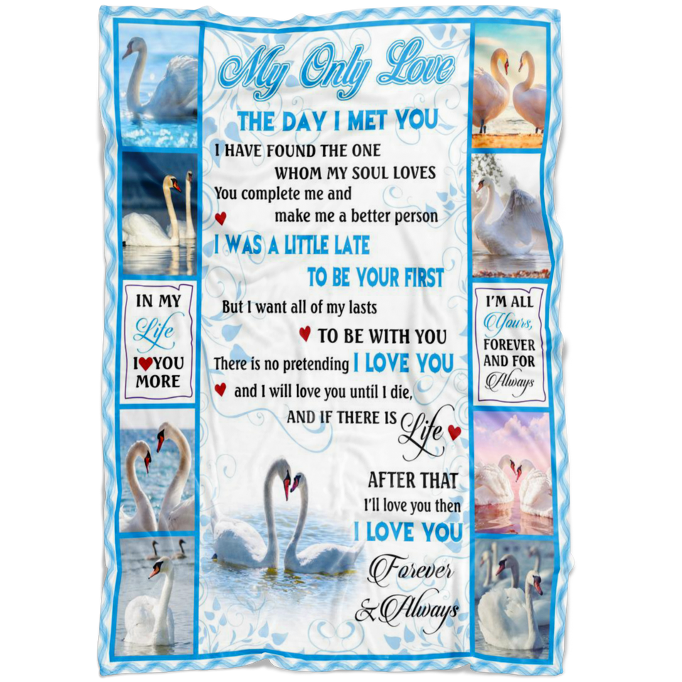 my only love blanket - Swan