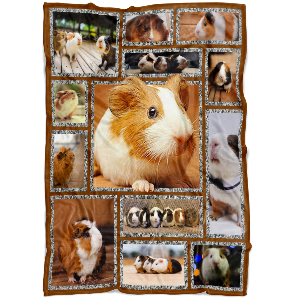 Guinea Pig Blanket Guinea pig 3D Quilt