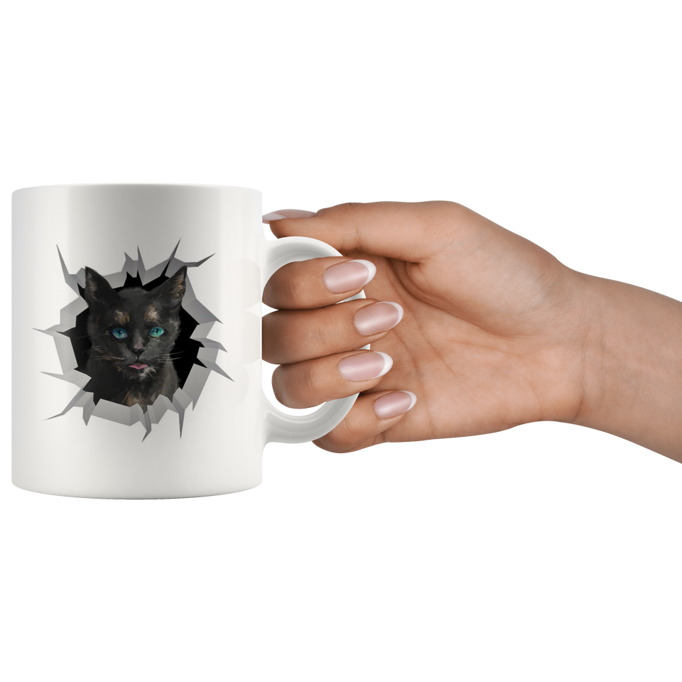 cat 14