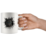 cat 14