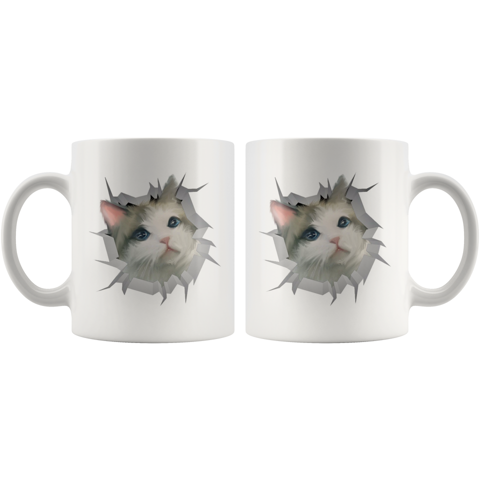 cat 13