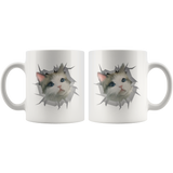 cat 13