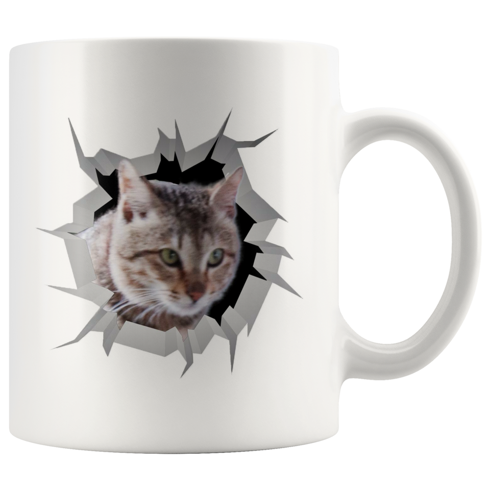 cat 23