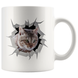 cat 23
