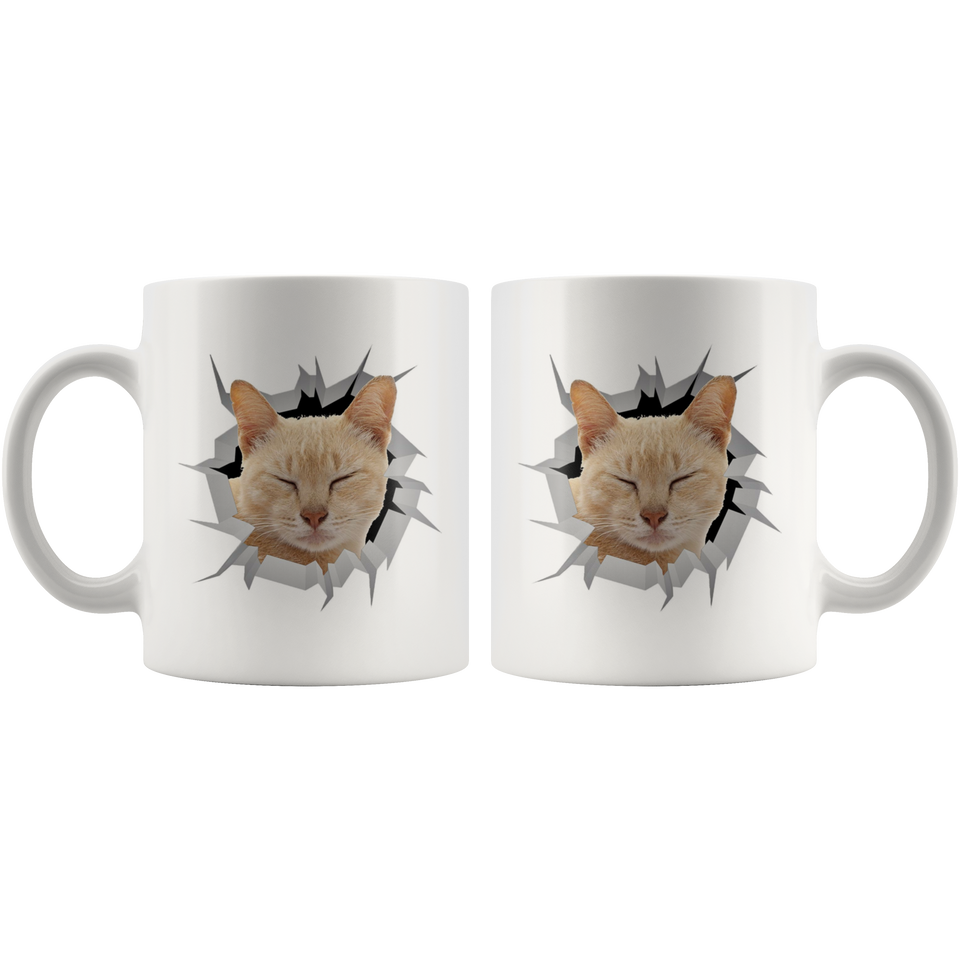 cat cat 18