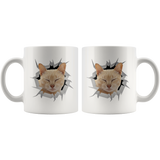cat cat 18
