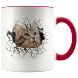 cat 108