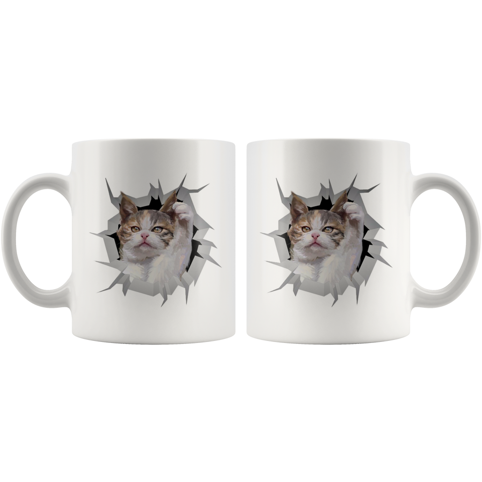 cat 25