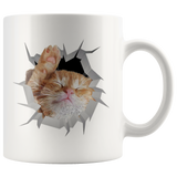 cat 3
