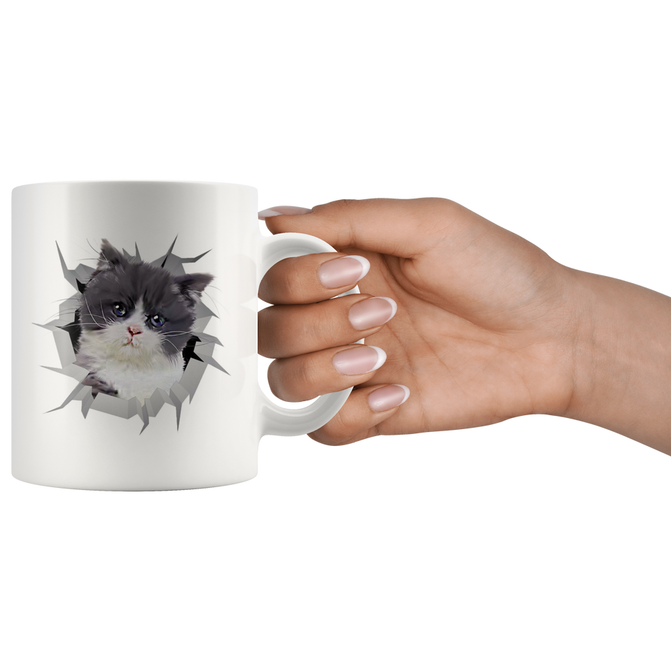 cat 4
