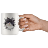 cat 4
