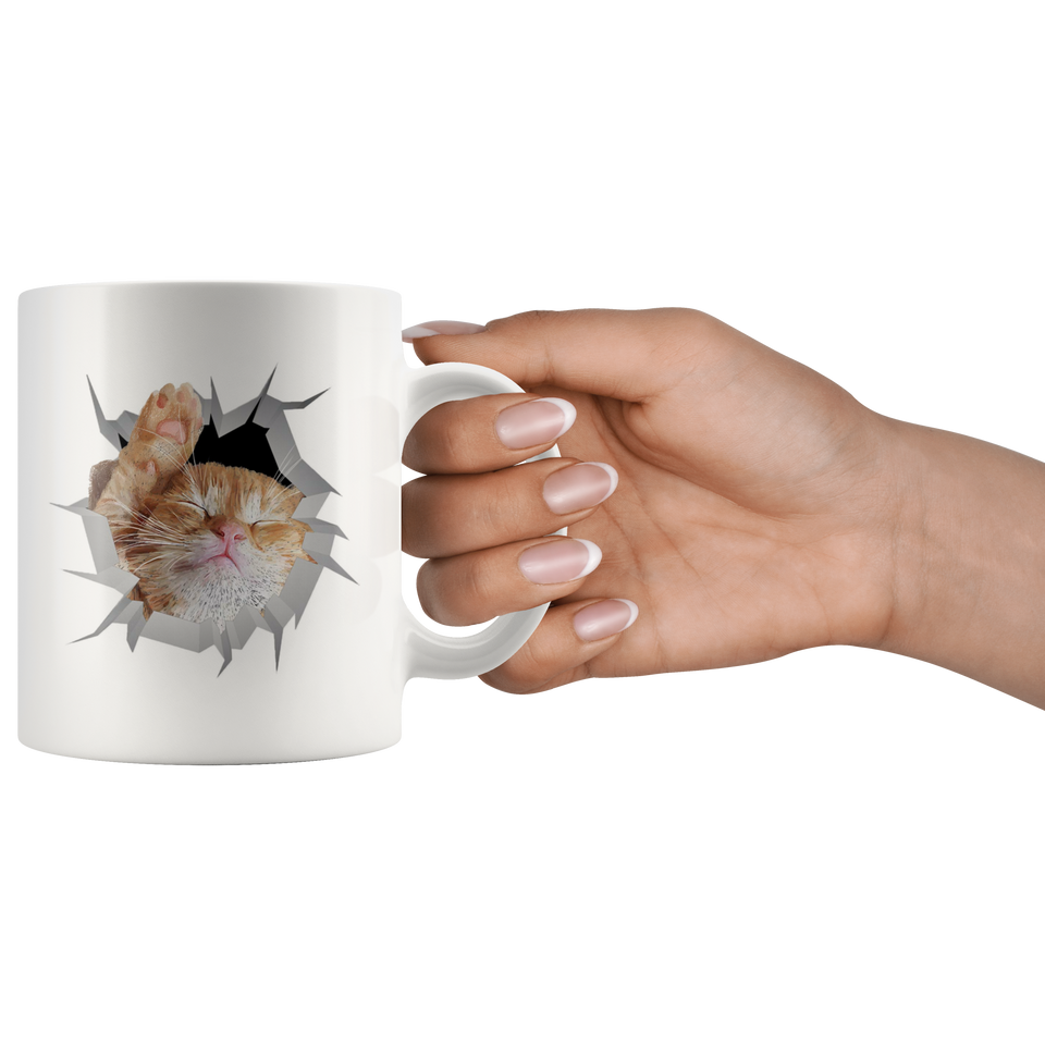 cat 3