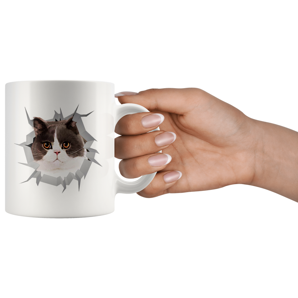 cat 43