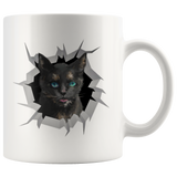 cat 14
