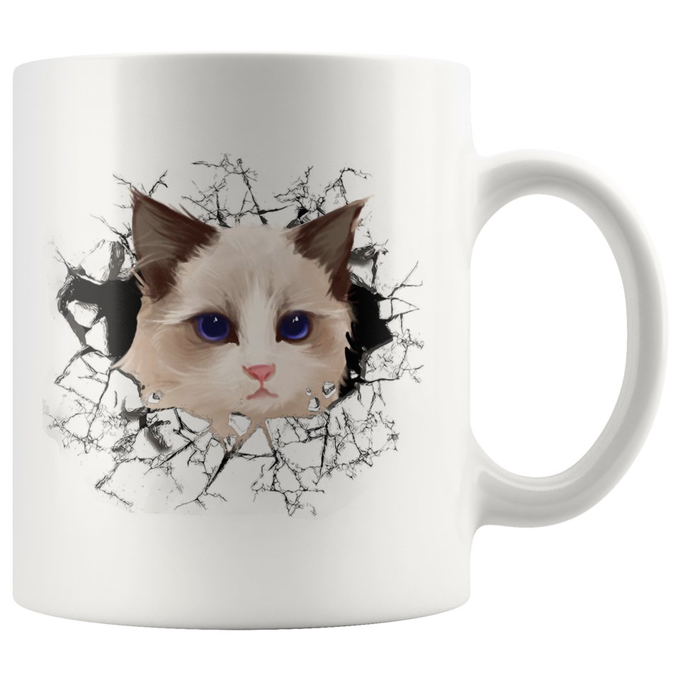 cat 107
