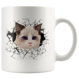 cat 107