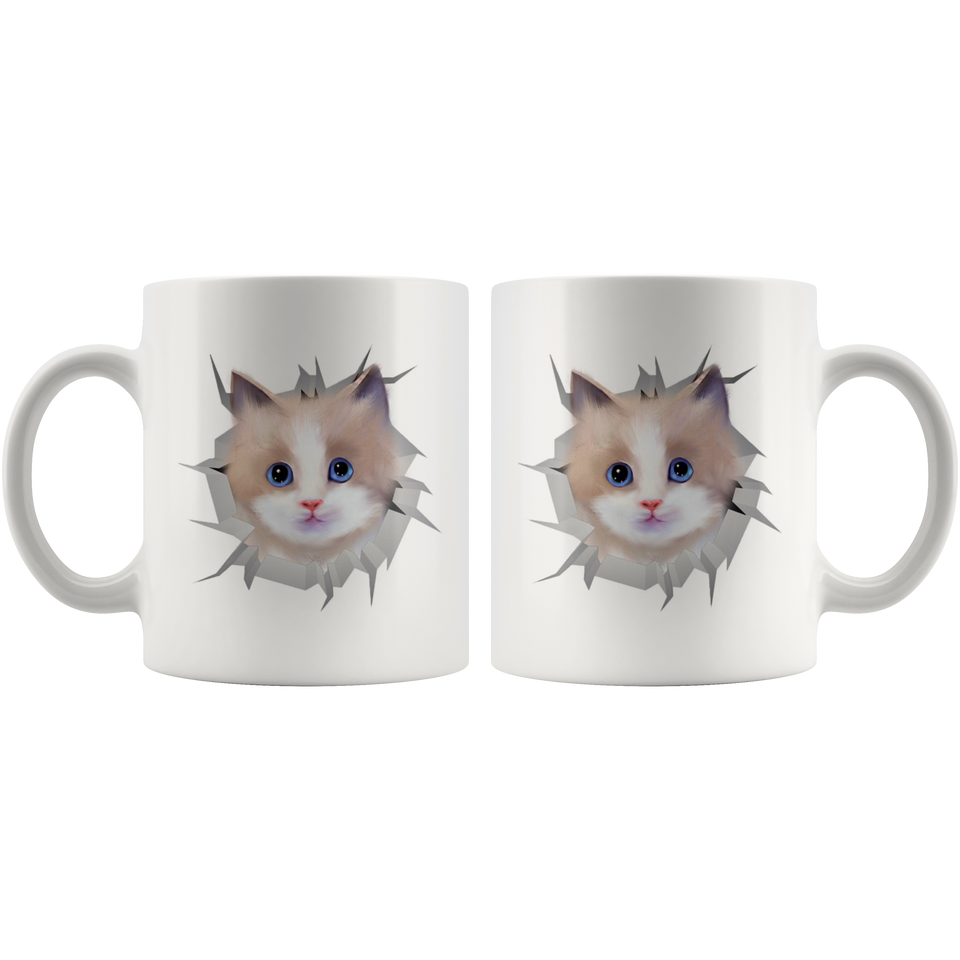 cat 42