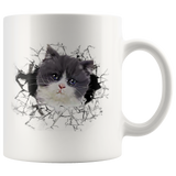 cat 116